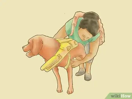 Image titled Teach Your Dog to Surf Step 6