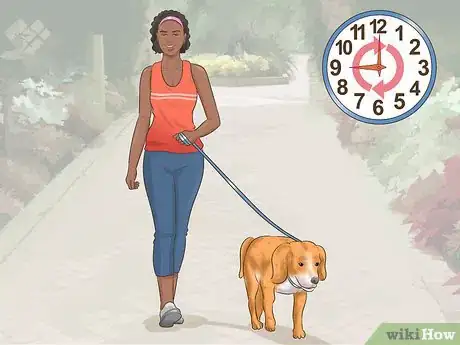 Image titled Help a Dog Adjust to Your Household Routine Step 7