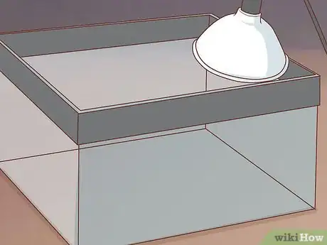 Image titled Buy Quail Chicks Step 5