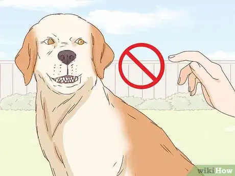 Image titled Pet a Dog Step 10