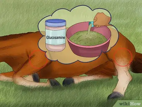Image titled Give Your Horse the Right Supplements Step 12