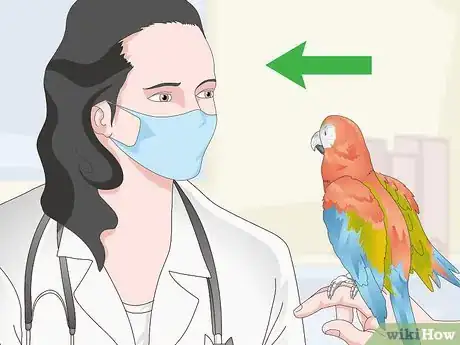 Image titled Treat Allergies in Macaws Step 11