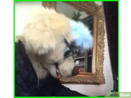 Image titled Use the Byte App Step 7