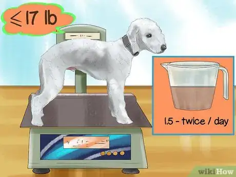 Image titled Choose a Bedlington Terrier Step 10