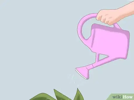 Image titled Take Care of Your Neighbor's Plants While They're Away Step 6