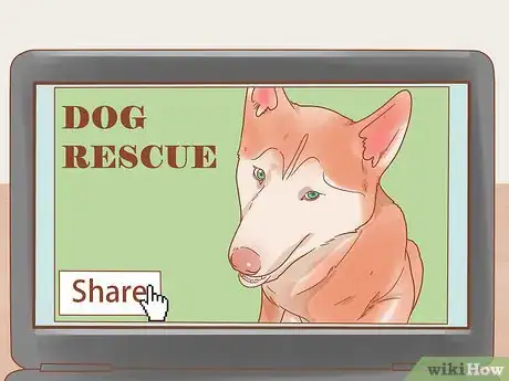 Image titled Save Dogs Step 5