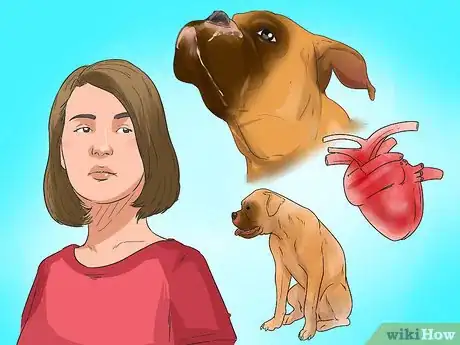 Image titled Treat Heart Conditions in Boxers Step 11