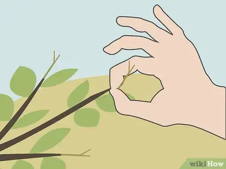 Image titled Prune Shrubs Step 05