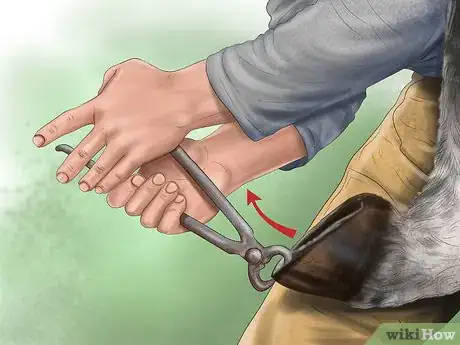 Image titled Maintain Good Hoof Care on Your Horse Step 14
