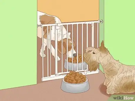 Image titled Prevent Dog Fights Step 3