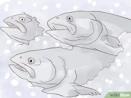 Image titled Smoke Salmon Step 1