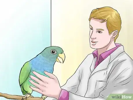 Image titled Know if a Pionus Parrot Is Right for You Step 12