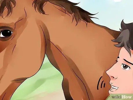Image titled Be Comfortable Around a Bad‐Tempered Horse Step 20