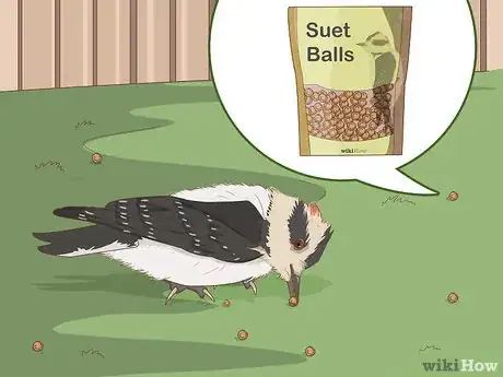 Image titled Attract Downy Woodpeckers Step 5