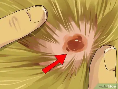 Image titled Give a Small Dog a Bath Step 11