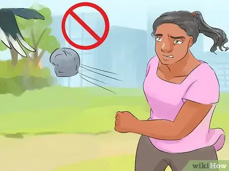 Image titled Keep Safe from Swooping Australian Magpies Step 10