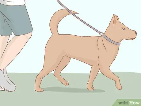 Image titled 905082 13