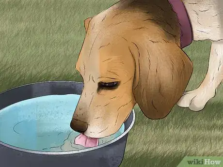 Image titled Prepare a Dog for Air Travel Step 10