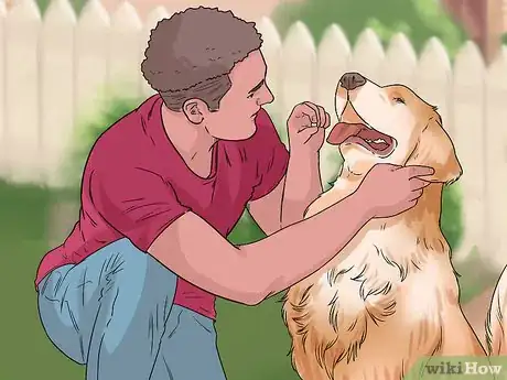 Image titled Get Your Dog to Welcome Your Baby Step 5