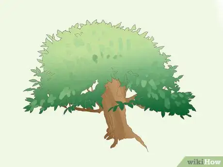 Image titled Create a Fairy Garden Step 8