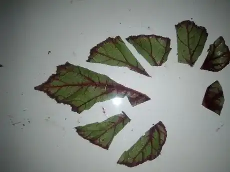 Image titled IMG_20160613_164537