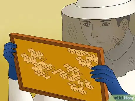 Image titled Winterize Bee Hives Step 4