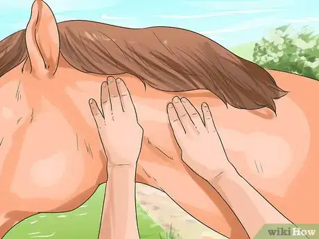 Image titled Massage a Horse Step 2