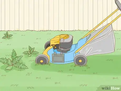 Image titled Get Rid of Canadian Thistles Step 3