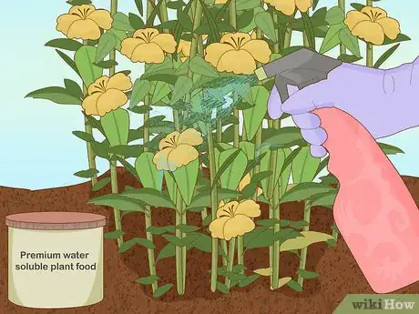 Image titled Plant Snowdrops Step 6