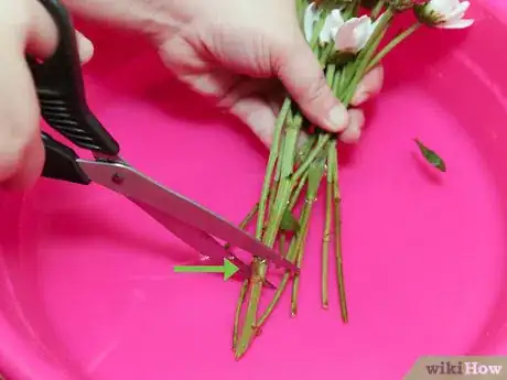 Image titled Make Flower Food Step 8
