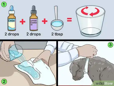 Image titled Prevent Flea Bites Step 4