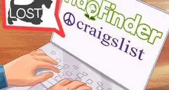 Advertise a Lost Dog