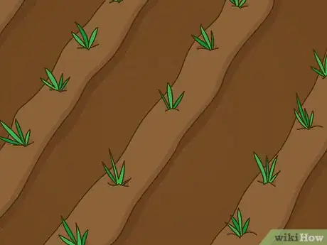 Image titled Grow Vegetables in the South (USA) Step 11