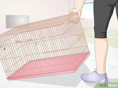 Image titled Care for Disabled Rabbits Step 5