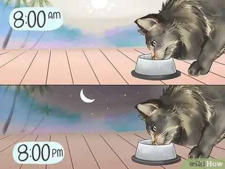 Image titled Take Care of Your Long Haired Maine Coon Step 3