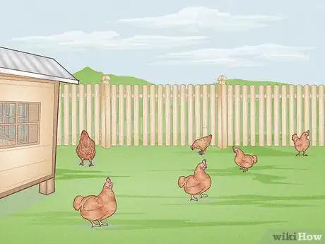 Image titled Prevent Diseases in Chickens Step 6