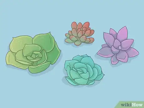 Image titled Make a Succulent Boutonniere Step 1
