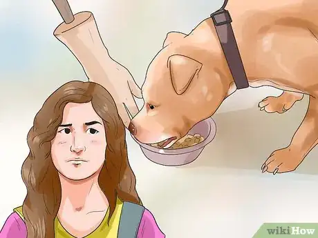 Image titled Get Your Dog Paid TV Appearances Step 1