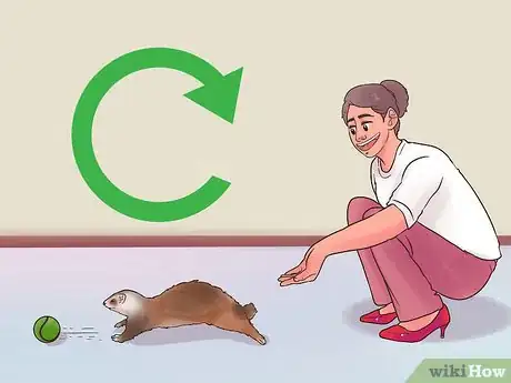Image titled Play Fetch with a Ferret Step 12