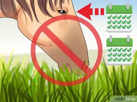 Image titled Prepare a Mare for Foaling Step 5