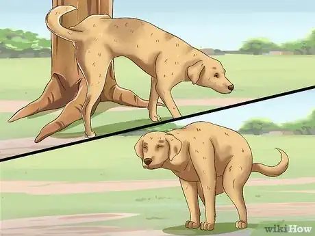 Image titled Teach Your Dog to Speak Step 16