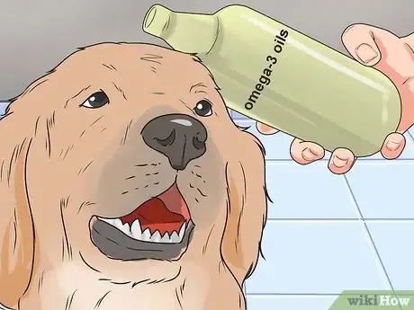 Image titled Get Your Golden Retriever to Shed Less Step 12