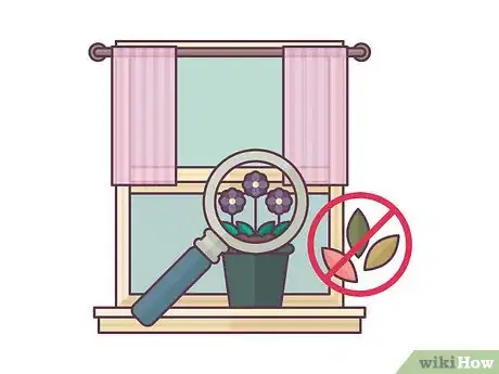 Image titled Repot African Violets Step 14