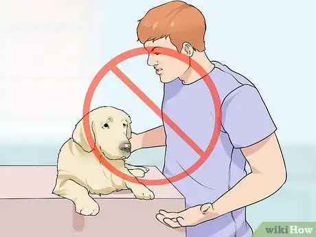 Image titled Handle New Noise Phobias in Older Dogs Step 9