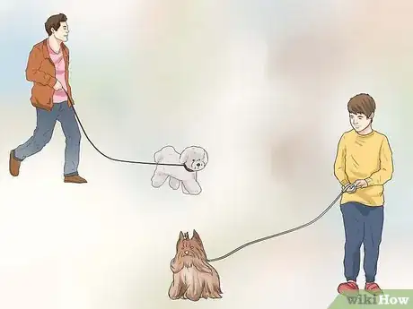 Image titled Walk Two Dogs with One Leash Step 6