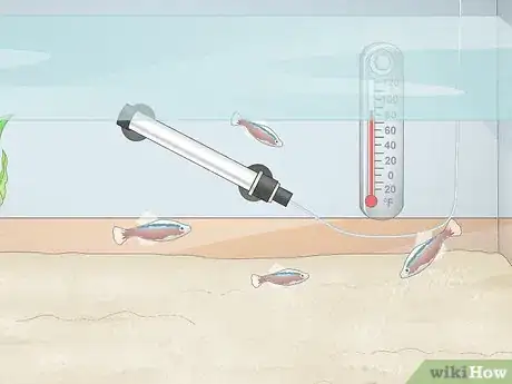 Image titled Prevent Algae Growth in a Freshwater Aquarium Step 2