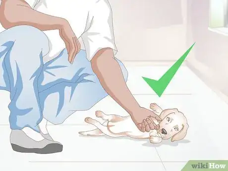 Image titled Get to Know Your Puppy Step 7