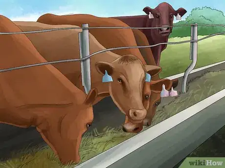 Image titled Manage Pastures Using Rotational or Management Intensive Grazing Step 20