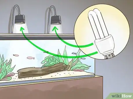 Image titled Pick Freshwater Plants Step 4