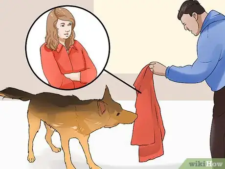 Image titled Keep Elderly Family Safe Around Active Dogs Step 3